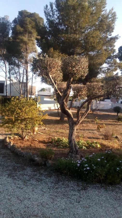 דירות טאולאדה Pinomar מראה חיצוני תמונה
