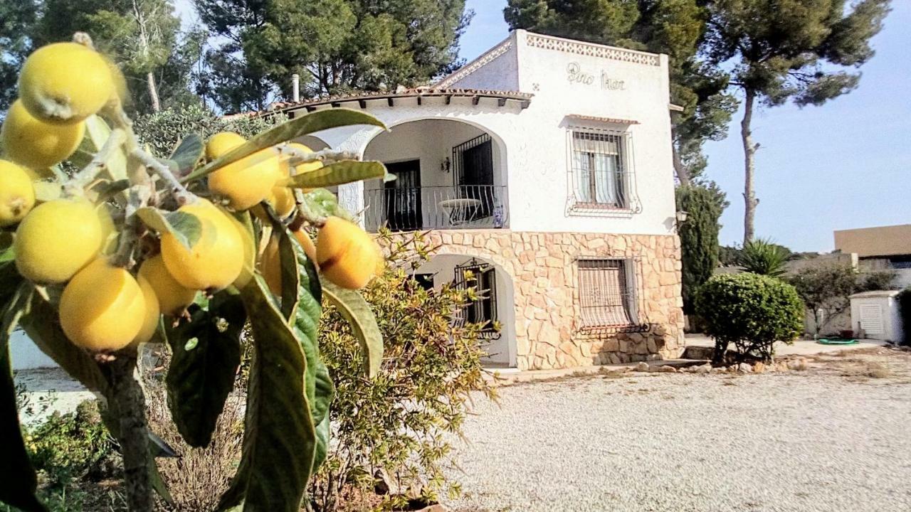 דירות טאולאדה Pinomar מראה חיצוני תמונה